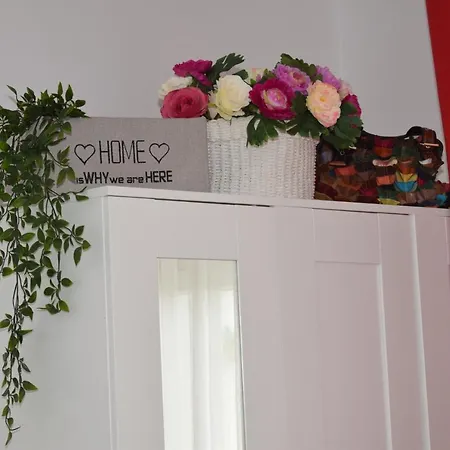 Trixi Apartamento Pula